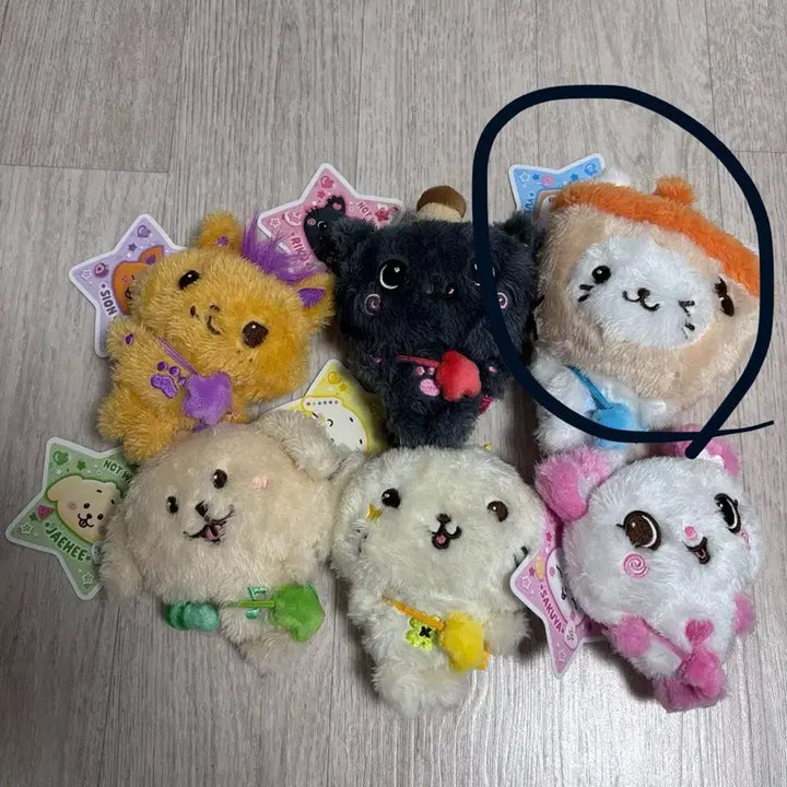 nct wish 위시돌 유우시 버블냥