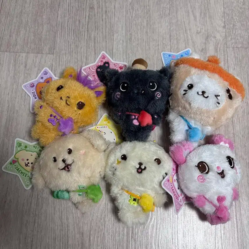 nct wish 위시돌 유우시 버블냥