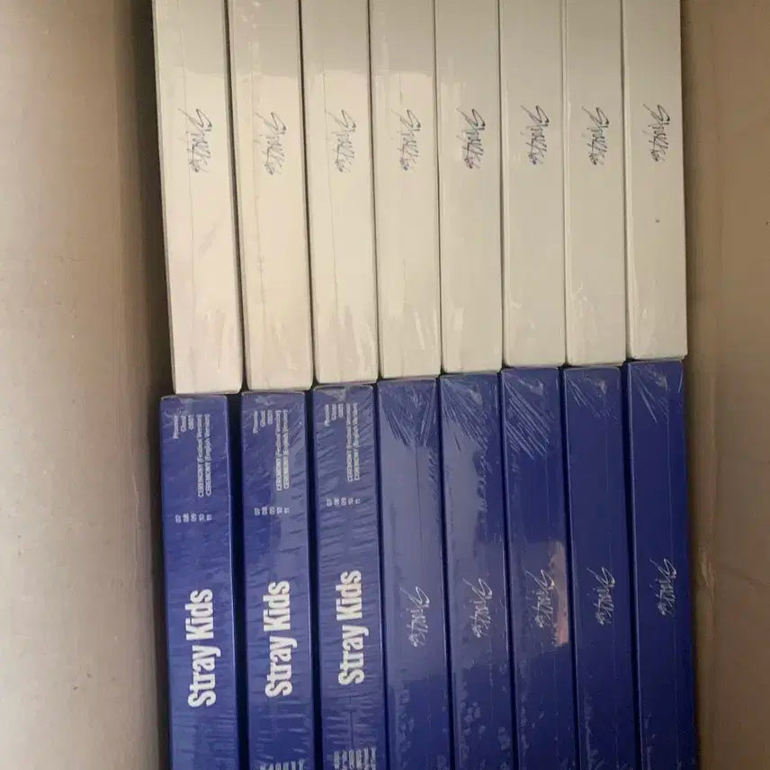 스키즈 카르마 앨범