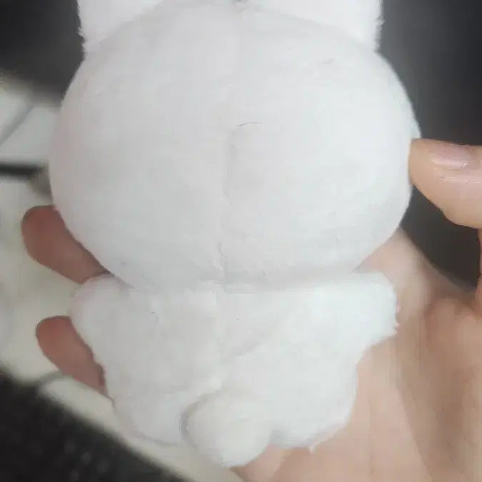 토깽섭 이창섭 인형 양도