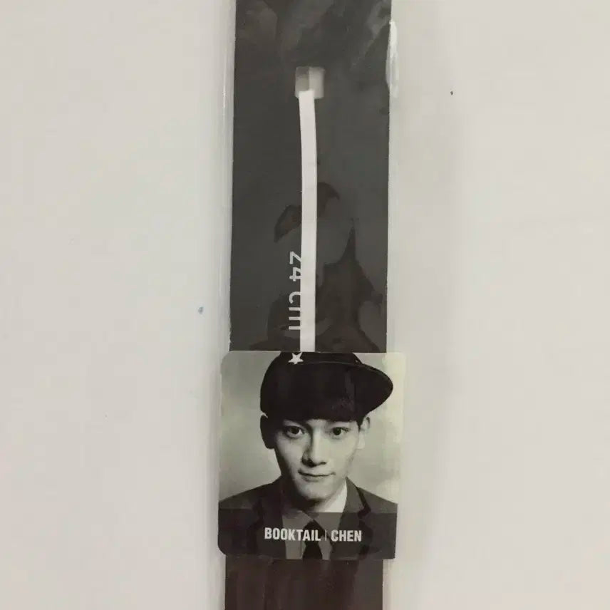 엑소 첸 공식굿즈 exo official goods 엑소늑미굿즈 chen