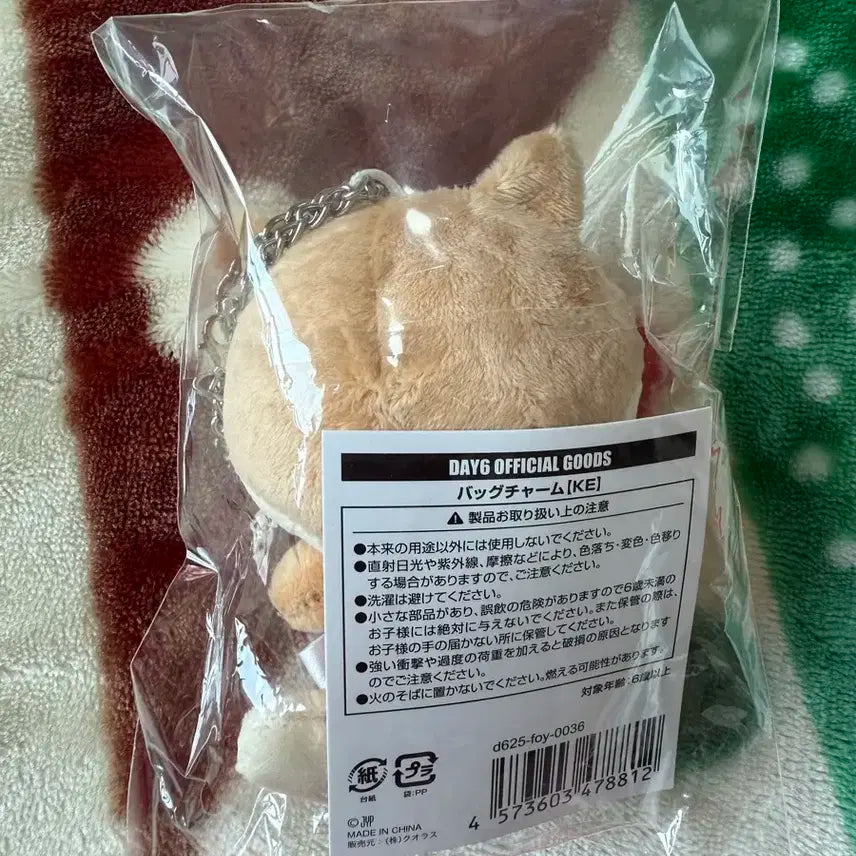 데이식스 일본 백참 케