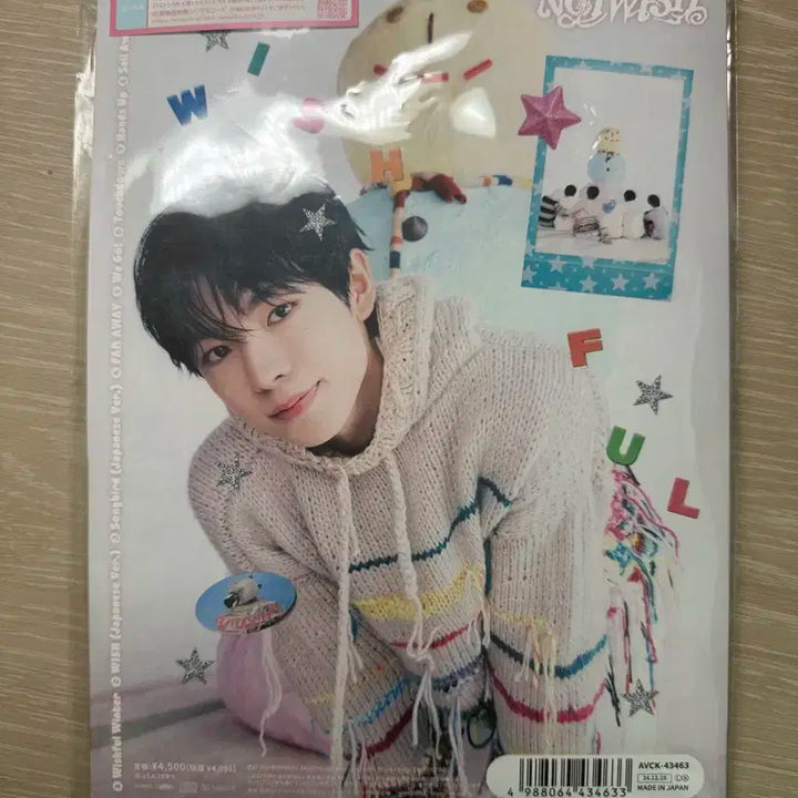 Nctwish wishful 앨범