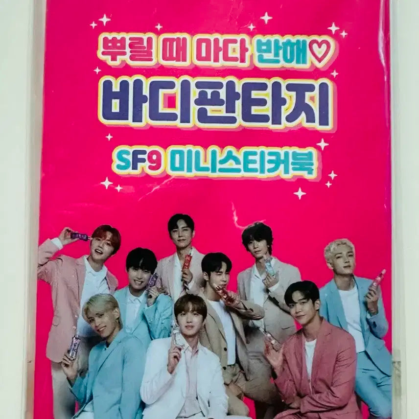 SF9 바디판타지 미니 스티커북