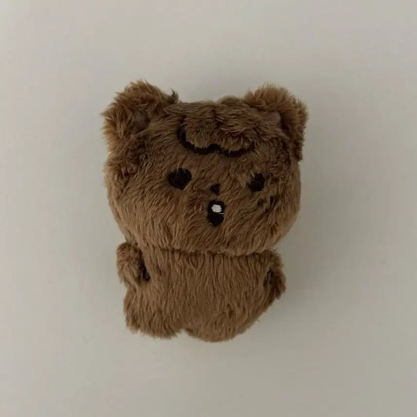 NCT 해찬 인형 쨕꼬미 풀썸머