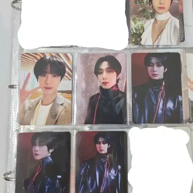 형원 포카 노리밋 콘서트 랜포 드볼