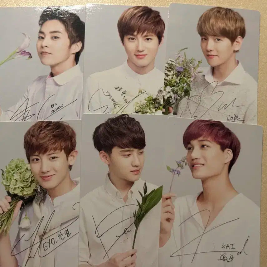 exo 엑소 네이처 포토카드