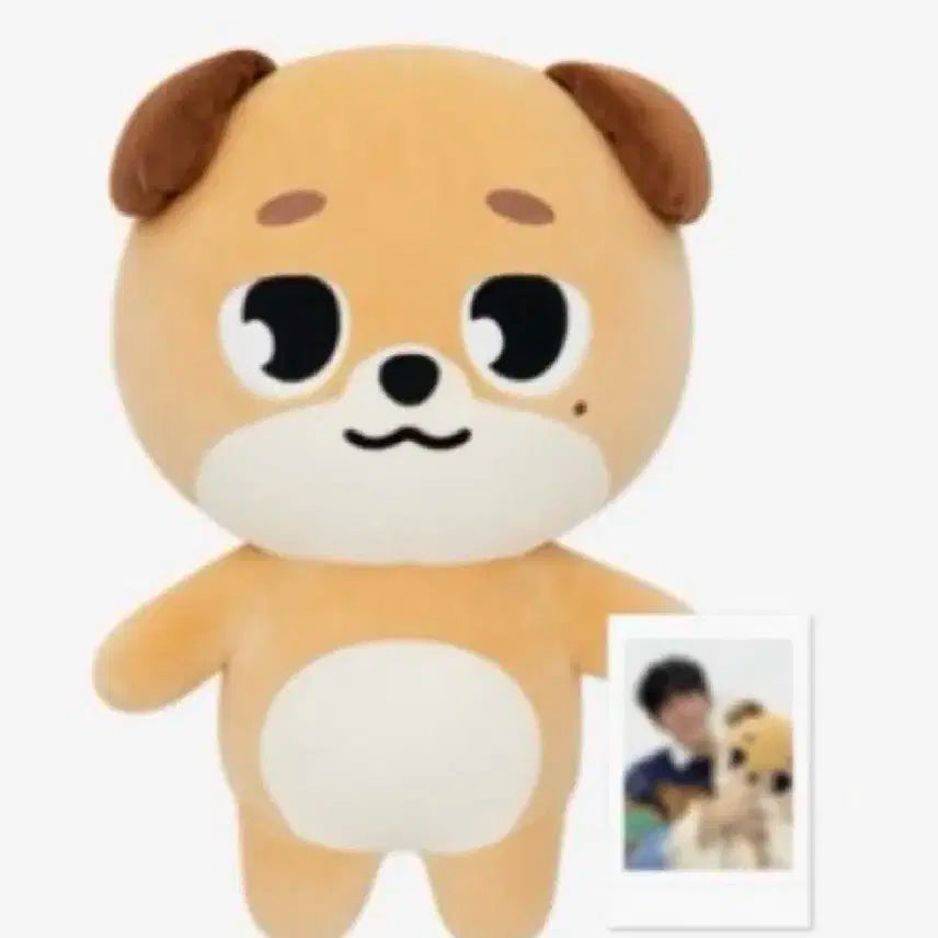 자이언트 데니멀즈 돈