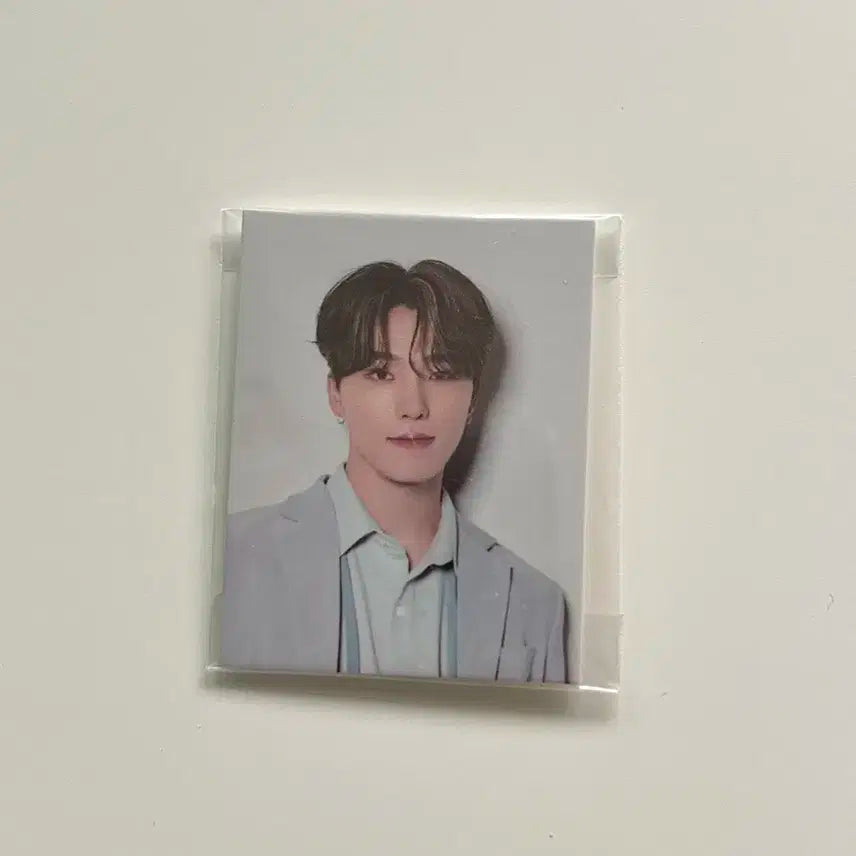인컴플릿 디노 증명사진