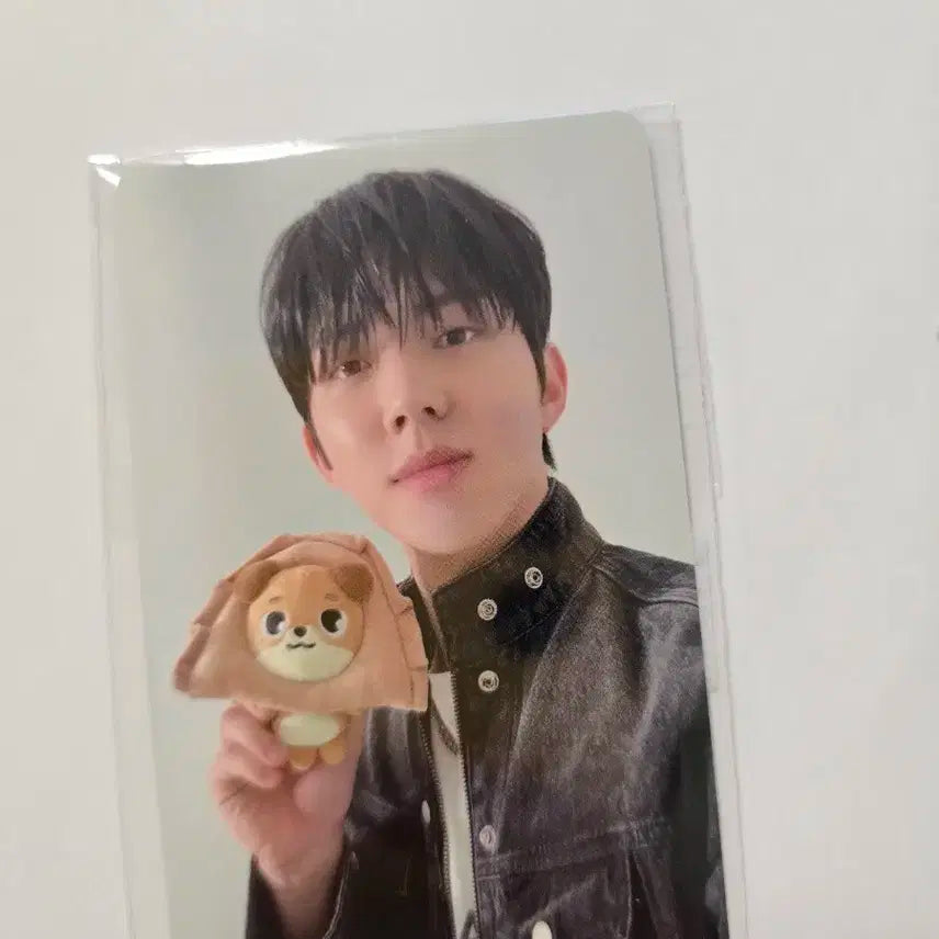 데이식스 도운 ID카드 및 포에버영 4만 포카