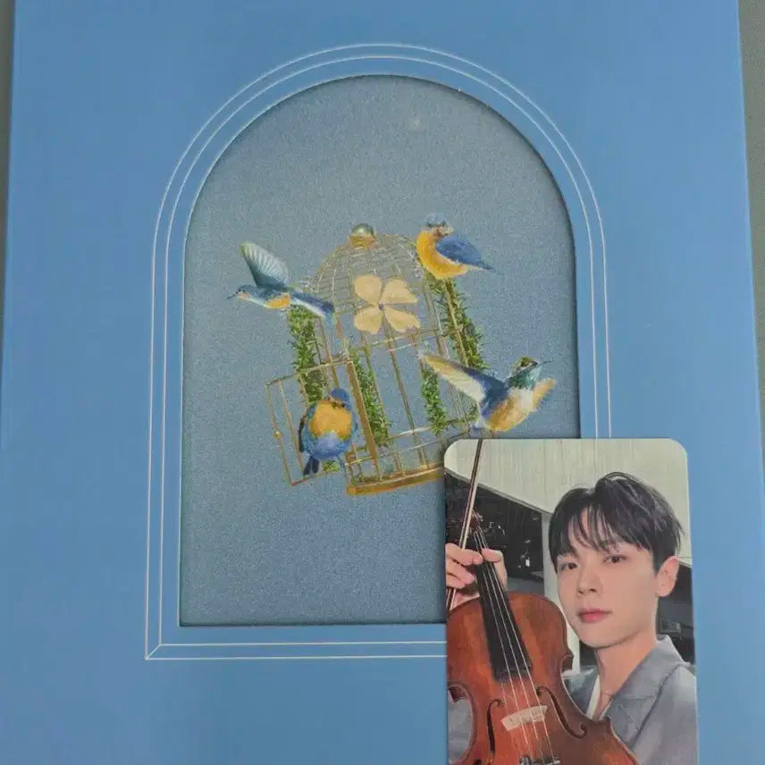 루시 프롬 단순 개봉 앨범