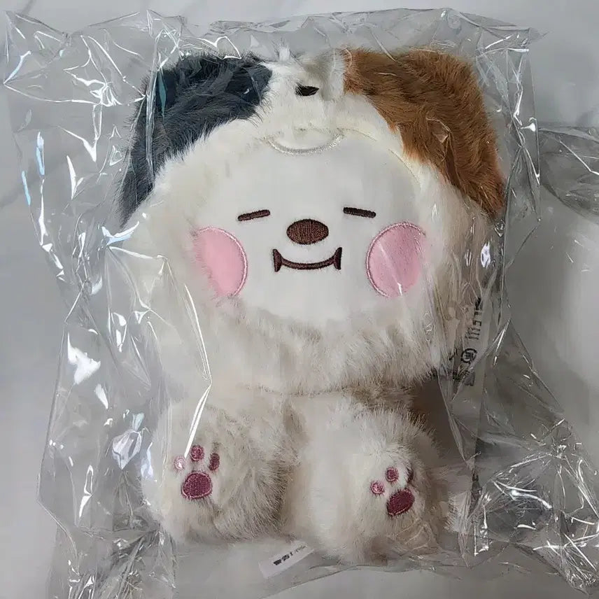 bt21 베이비 모어플러피 양도