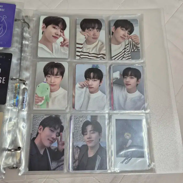 DKZ 재찬 포토카드 일괄 판매