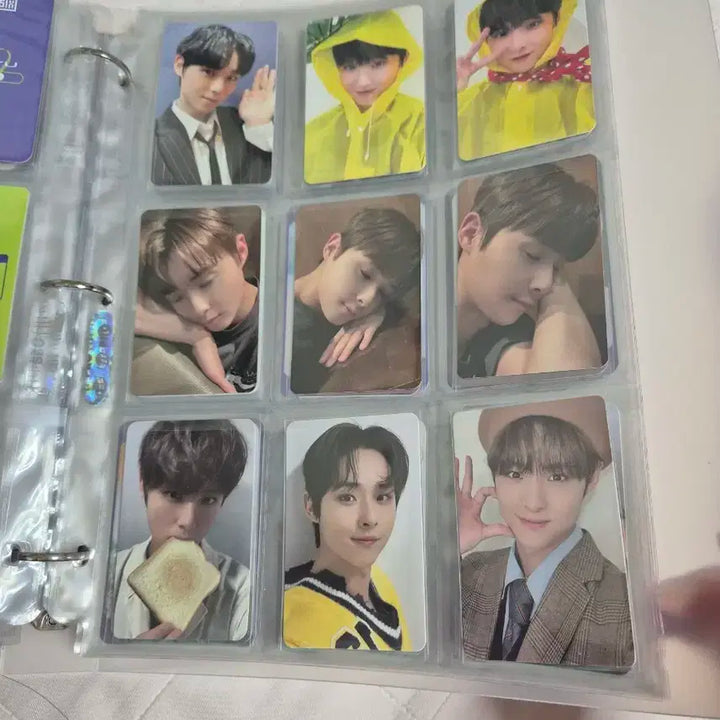 DKZ 민규 포카 일괄 판매