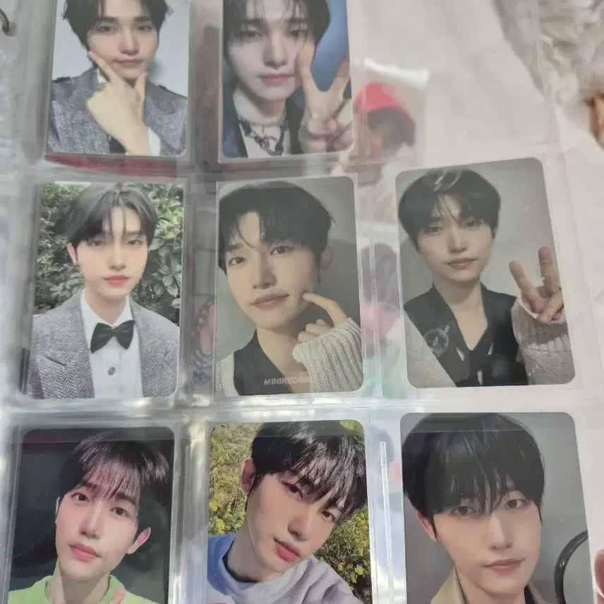 DKZ 세현 포토카트 일괄 판매