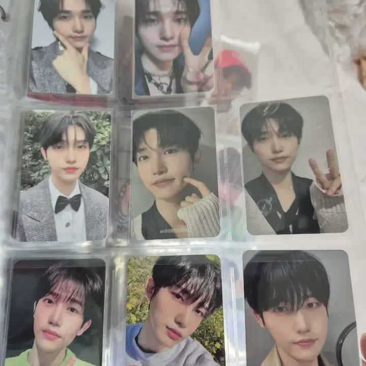 DKZ 세현 포토카트 일괄 판매