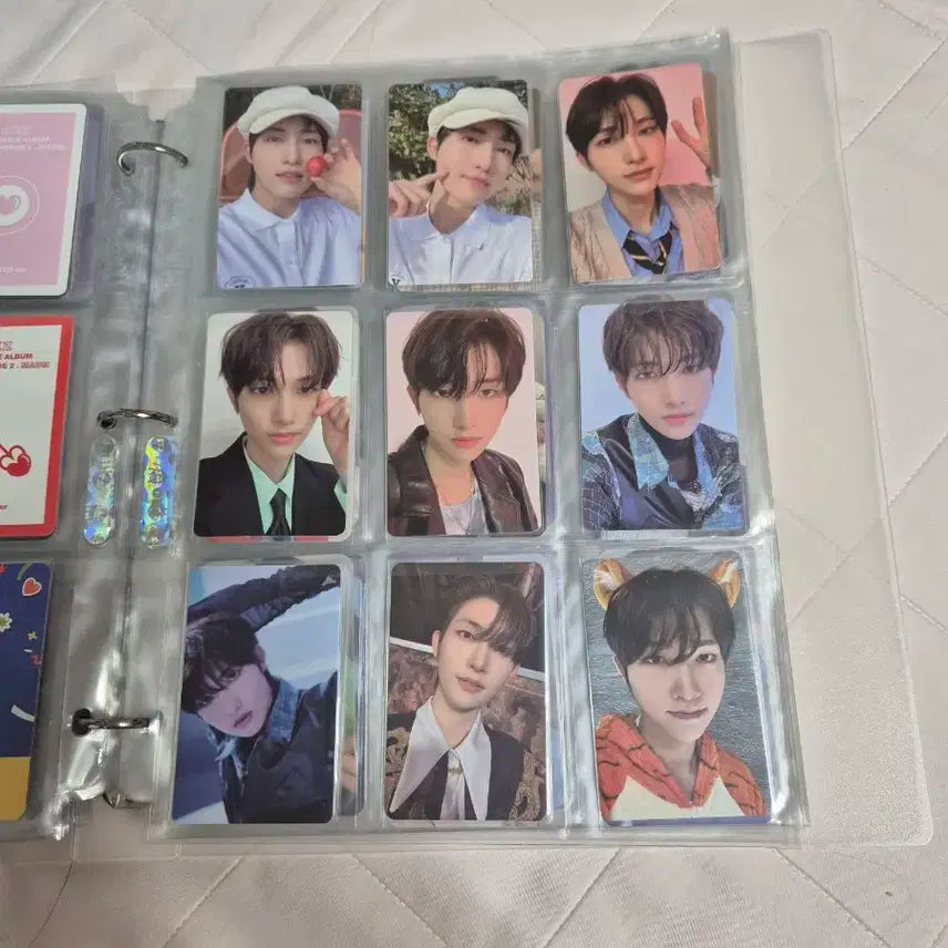 DKZ 세현 포토카트 일괄 판매