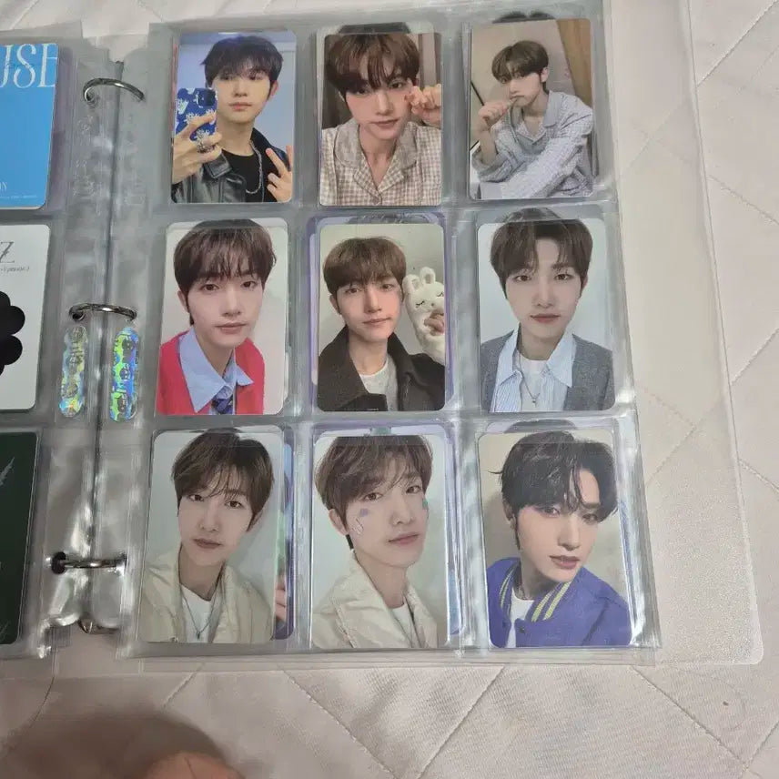 DKZ 세현 포토카트 일괄 판매