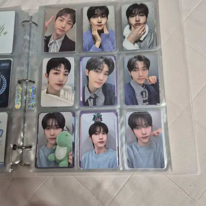 DKZ 세현 포토카트 일괄 판매