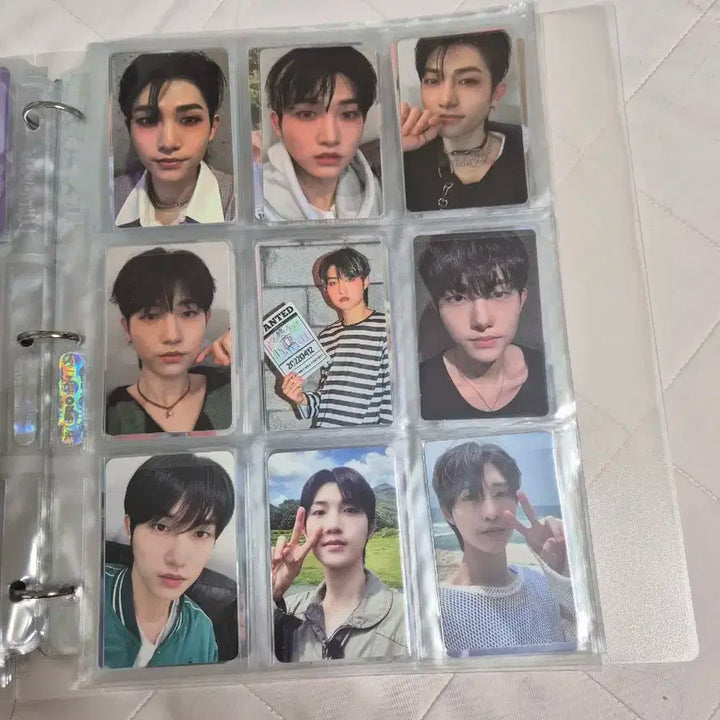 DKZ 세현 포토카트 일괄 판매