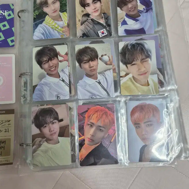 DKZ 종형 포토카드 일괄 판매