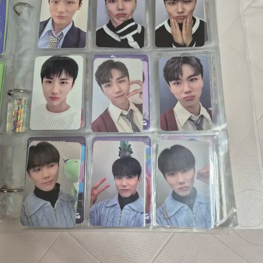 DKZ 종형 포토카드 일괄 판매