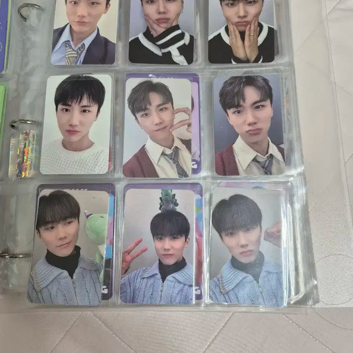 DKZ 종형 포토카드 일괄 판매