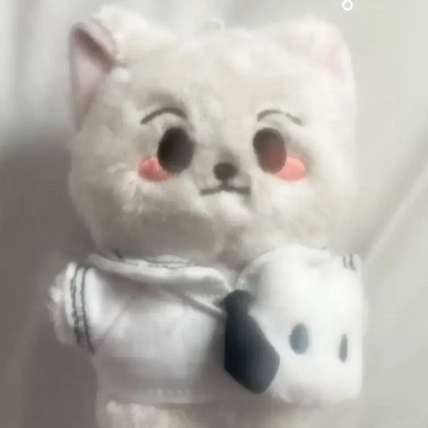 [Nct] 엔시티 드림 런쥔 인형 런먕이 팔아요