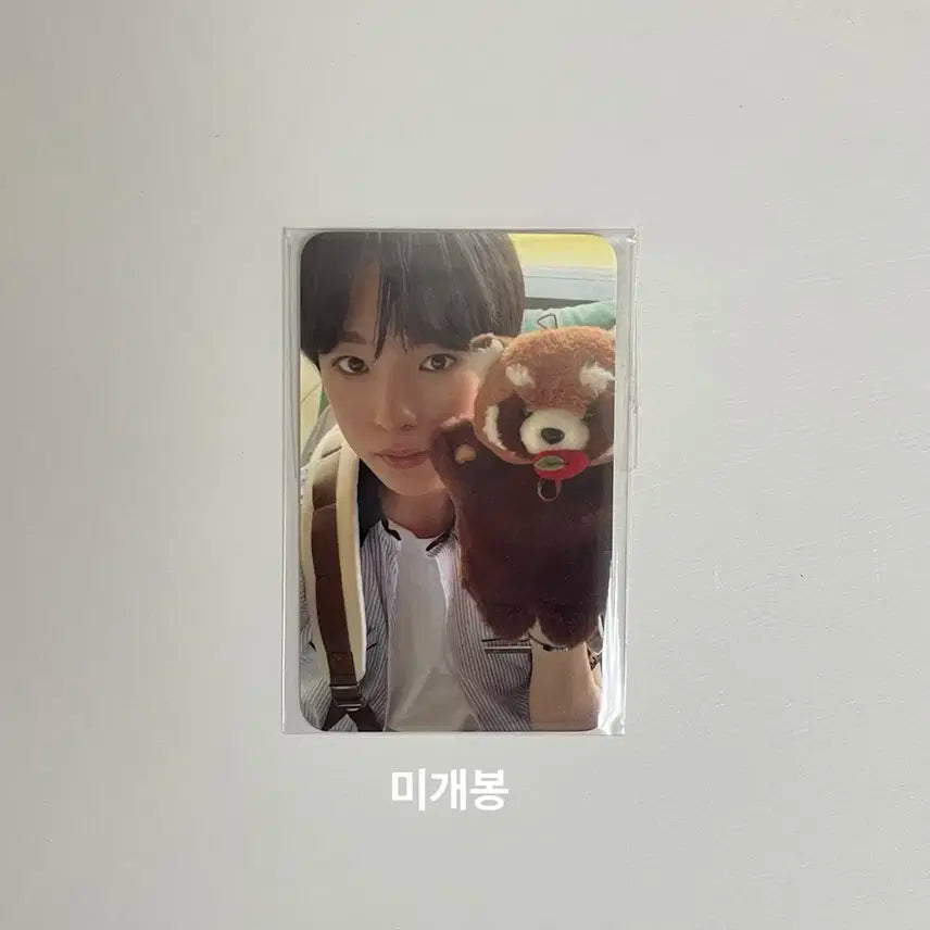 엔시티 위시 유우시 에버랜드 2차 입장 포카 에버위시