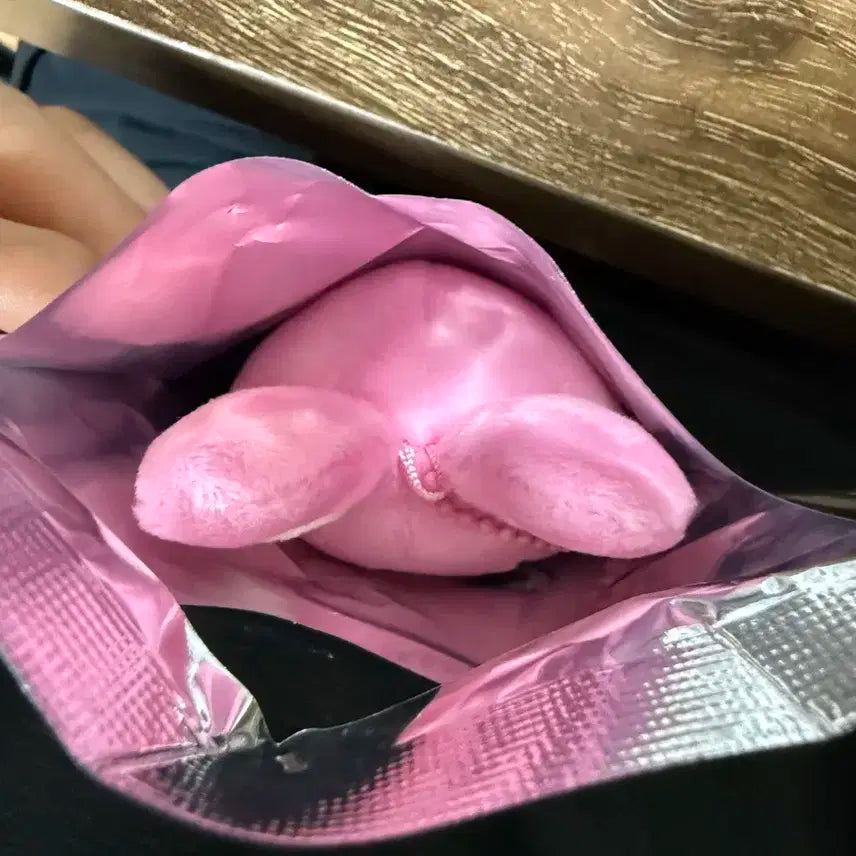 (단순개봉, 포카없음) 스트레이키즈 카르마 돼끼 창빈 인형