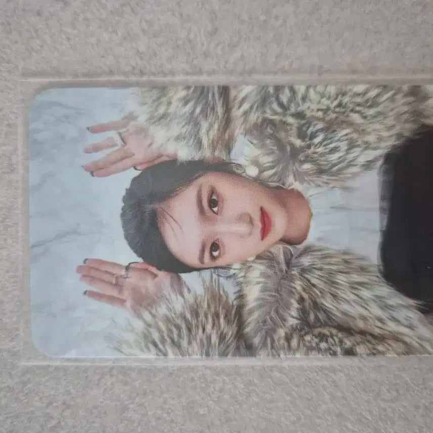 아이브 포카 일괄 판매