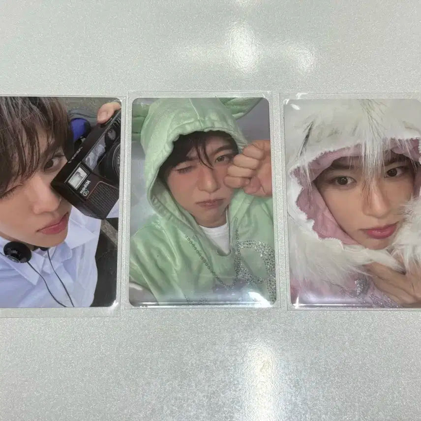 엔시티위시 컬러 초회한정반 시온 포카 세트 양도