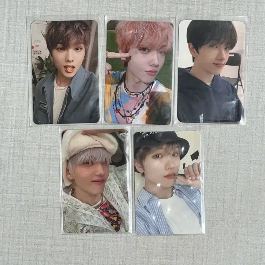 엔시티 지성 포카 일괄 양도