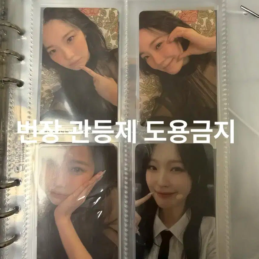 프로미스나인 백지헌 포카 + 하이하바 바인더 일괄