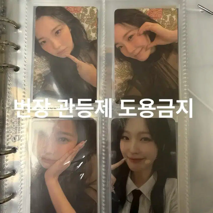 프로미스나인 백지헌 포카 + 하이하바 바인더 일괄