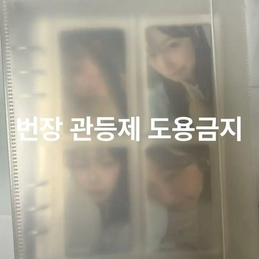 프로미스나인 백지헌 포카 + 하이하바 바인더 일괄