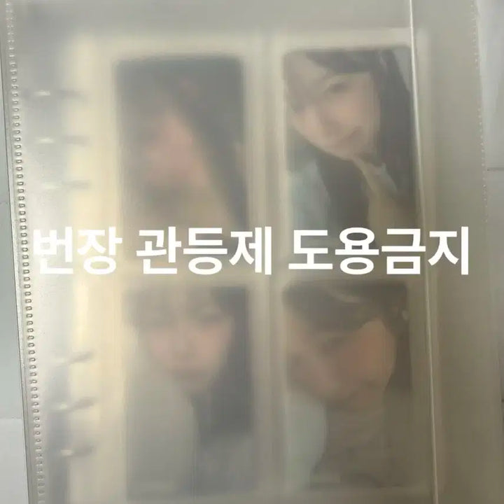 프로미스나인 백지헌 포카 + 하이하바 바인더 일괄