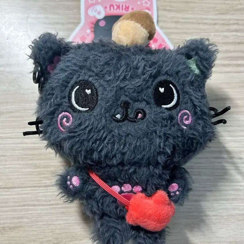위시돌 쿠리 양도