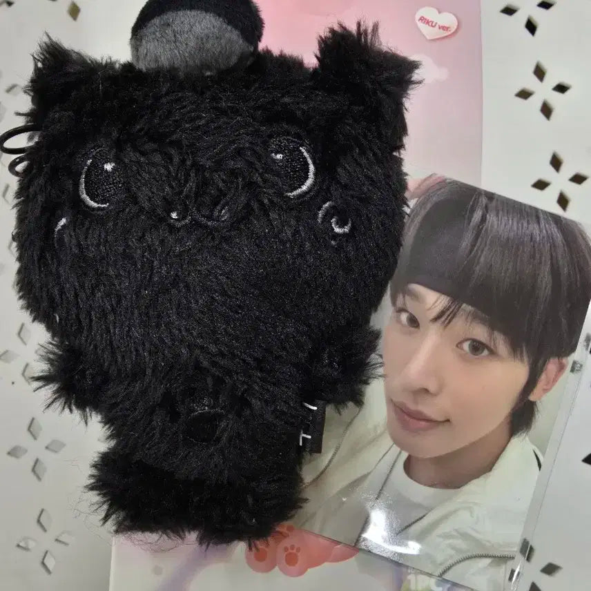엔시티위시 컬러 위시돌 쿠리 시크릿 블랙 리쿠 양도