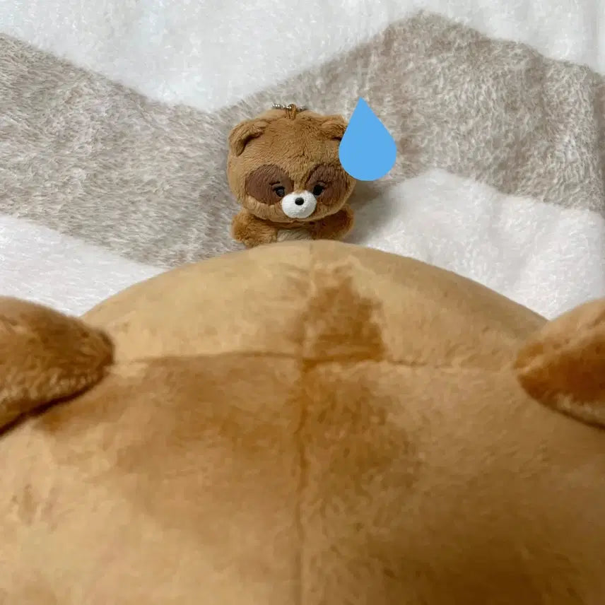 더보이즈 선우 인형 쪼구리