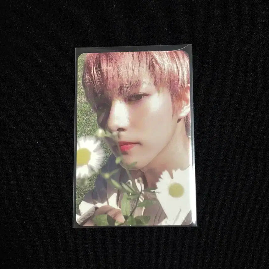 엔시티드림 런쥔 캔디랩