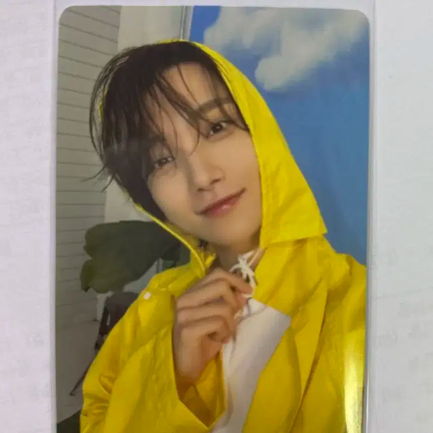 세븐틴 조슈아 포카