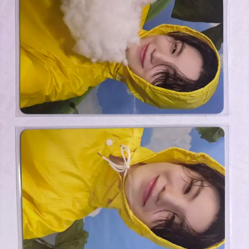 세븐틴 우지 포카