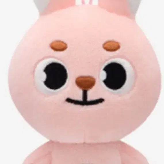 데이식스 데니멀즈 20필 20필끼