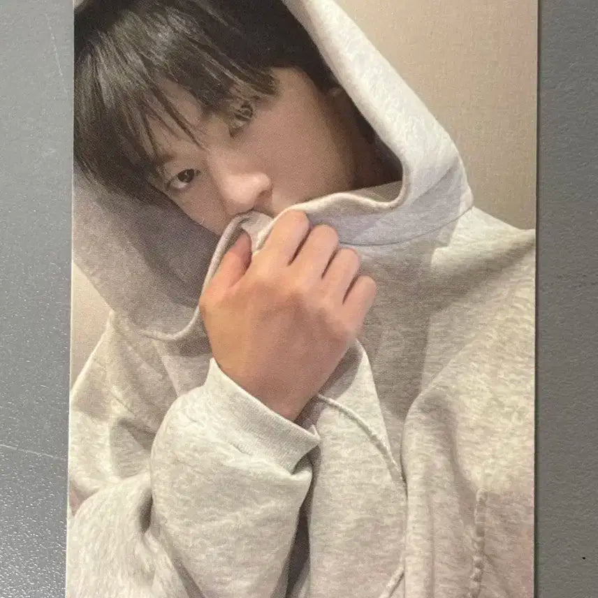 투어스 도훈 포카 양도