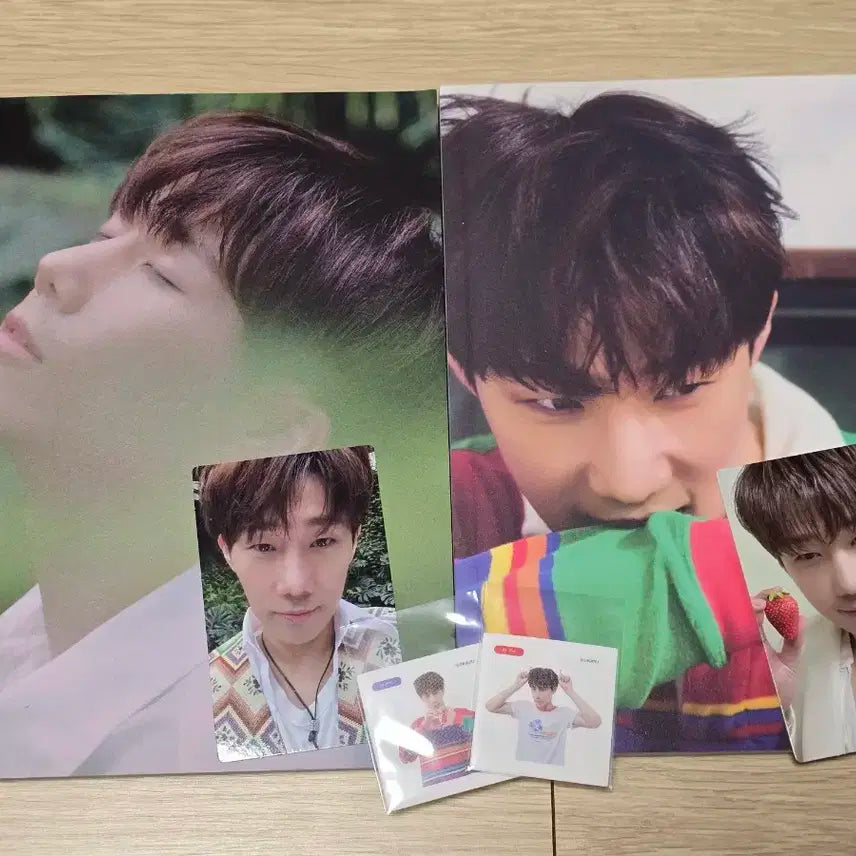 인피니트 김성규 savior 앨범 s버전 + k버전