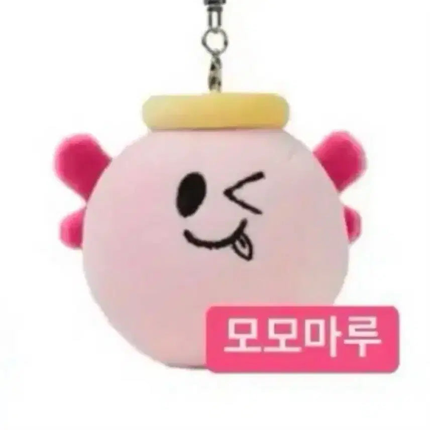 엔시티위시 사쿠야 일본 투어 인형 키링 엠디 모모마루