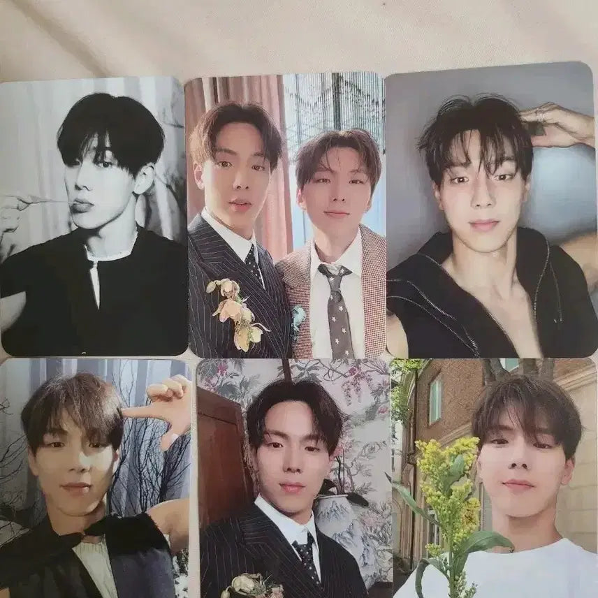 셔누포카