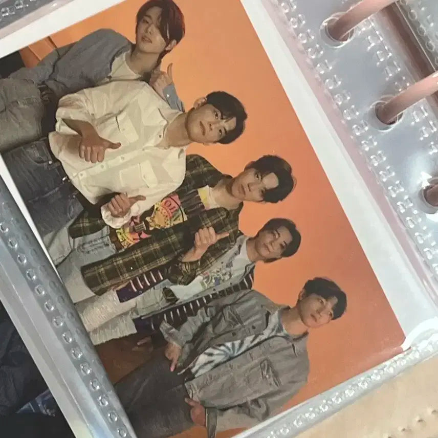 데이식스 단체포카 네겐트로피