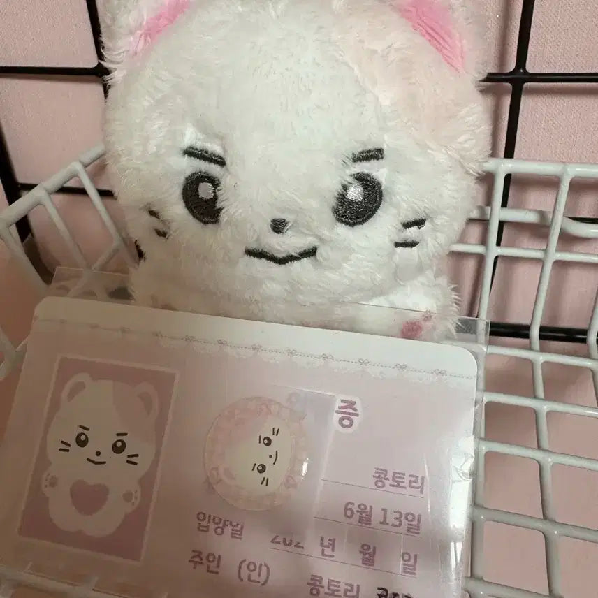 성한빈인형 콩토리